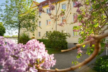 Wohnung zum Mieten in Halle (Saale) 353,00 € 48.86 m²