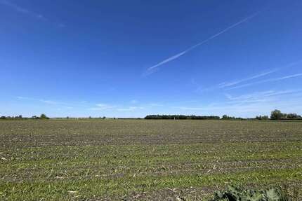 Grundstück in Wertingen 1.265.000,00 € 111158 m²