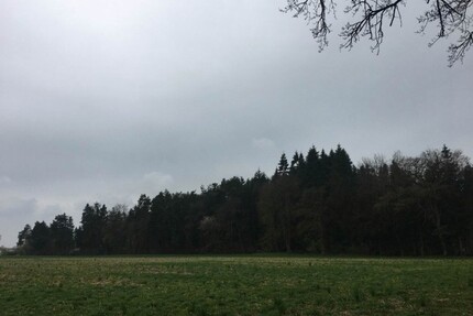 Waldgrundstück Ebersberg 18 ha - 1.800.000,00&nbsp;EUR Kaufpreis, ca.&nbsp; 180.000,00&nbsp;m&sup2; in Edling (PLZ: 83533)