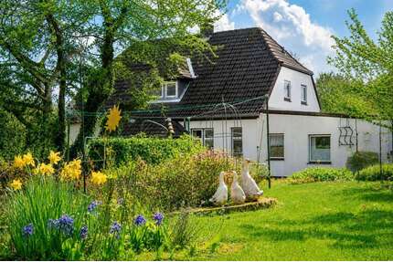 Haus zum Kaufen in Kosel 579.000,00 € 177 m²