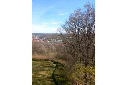 Wohnen mit Urlaubsfeeling und Blick auf den Main und Umgebung - Wertheim
