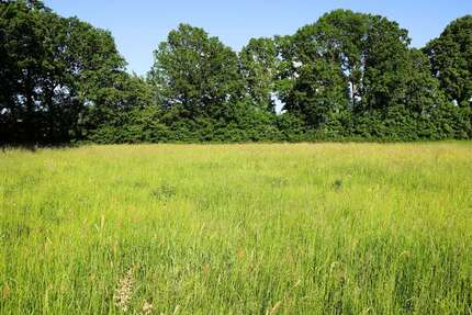 Grundstück zu verkaufen in Goldkronach 270.000,00 € 1560 m²