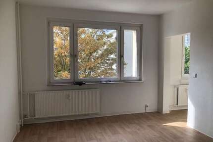 Wohnung zum Mieten in Halle (Saale) 279,00 € 41.6 m²