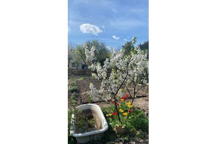 Kleingarten in Leubnitz-Neuostra - Dresden Prohlis