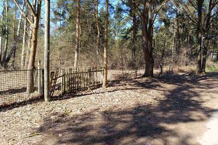 Grundstück zu verkaufen in Mittenwalde OT Töpchin 447.000,00 € 3593 m²