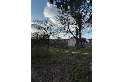 Großes Grundstück in der Vulkaneifel - Mehren