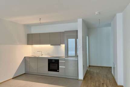 Wohnung zum Mieten in Mainz-Kastel 915,00 € 45.74 m²