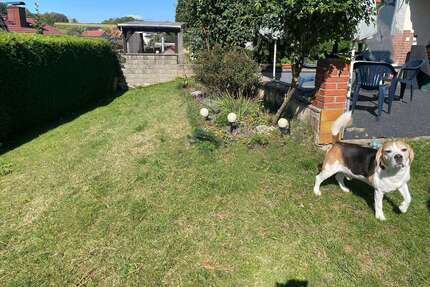 Haus zum Kaufen in Gedern 299.000,00 € 142 m²