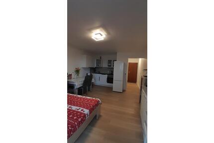 1 Zimmer Wohnung, EBK, vermietet und Provisionsfrei - Schwebheim