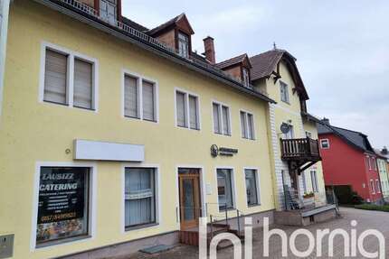 Haus zum Kaufen in Elstra 250.000,00 € 350 m²