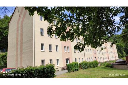 frisch sanierte kleine gemütliche 3-Raumwohnung im Erdgeschoss in PenigAmerika