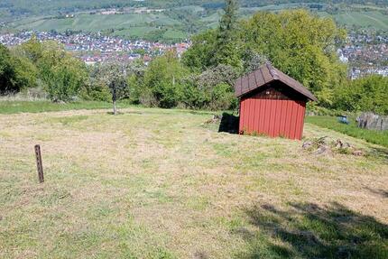 verpachte Wiese mit Aussicht in Remshalden - Eislingen (Fils)
