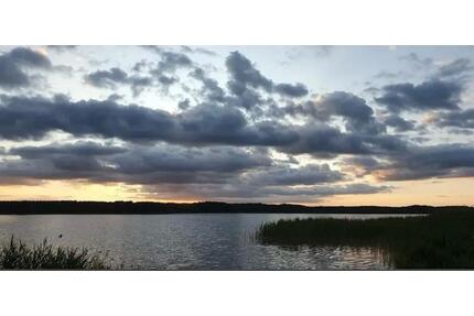 Erster Monat gratis! Einzigartiges Waldgrundstück am Massower See - Eldetal