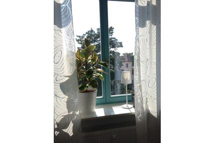 Schnuckelige 1-Raum-Wohnung möbeliert, sehr hell, in Top-Lage - Dresden Neustadt