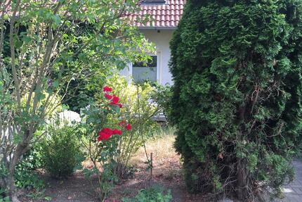 Verkaufe Haus mit Grundstück Bj 2000 - Thale