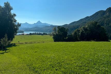 Ferienwohnung Urlaub Füssen Allgäu Bayern Mai Juni September