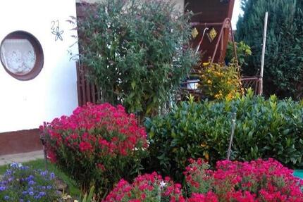 Kleingarten Pacht in Traumhafter Lage 500 qm - Haselbachtal