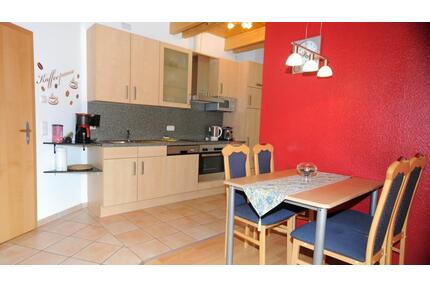 Große Ferien- Monteurwohnung frei - Agathenburg