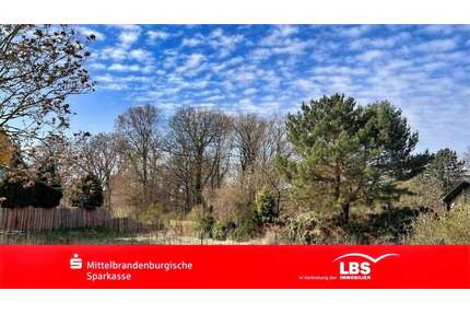 Grundstück zu verkaufen in Zeuthen 300.000,00 € 800 m²