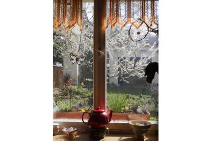 Haus zum Kaufen in Oedheim 398.500,00 € 226 m²