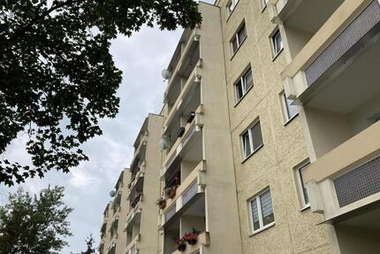 Warum mehr zahlen? Genau. - 225,00&nbsp;EUR Kaltmiete, ca.&nbsp; 56,03&nbsp;m&sup2; in Halle (Saale) (PLZ: 06132) Silberhöhe