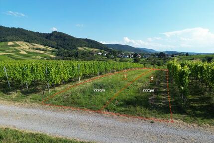 Grundstück, Acker, Wiese, Freizeitgrundstück in Baden-Baden