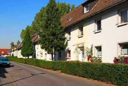Wohnung zum Mieten in Gelsenkirchen 429,00 € 58.5 m²