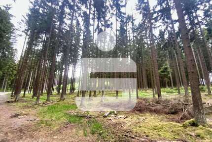 Grundstück in Schönsee 150.000,00 € 57444 m²