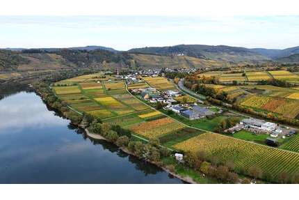 Grundstück in Pünderich 99.000,00 € 4220 m²