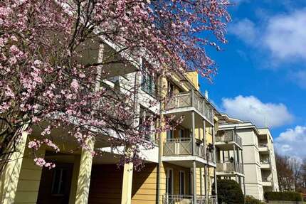 Wohnung zum Kaufen in Potsdam 495.000,00 € 80 m²