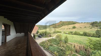 WOHNEN MIT NATURBLICK UND EIGENER QUELLE - Schuttertal