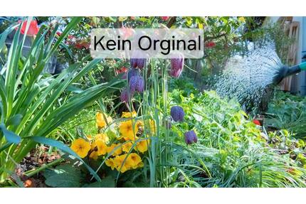 Kleingarten - 1.200,00&nbsp;EUR Kaltmiete, ca.&nbsp; 0,00&nbsp;m&sup2; in Anklam (PLZ: 17389)