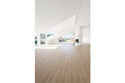 Privatverkauf- Penthouseartige Landhauswohnung mit Loft-Charakter - Tangstedt