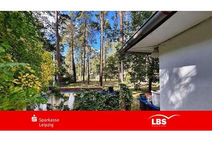 Haus zum Kaufen in Zschepplin 59.000,00 € 45 m²