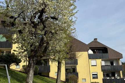 Wohnung zum Kaufen in Bad Berneck 75.000,00 € 40 m²