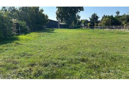 Wiese Feld Koppel für Pferde, Schafe, … zu verpachten - Mötzing
