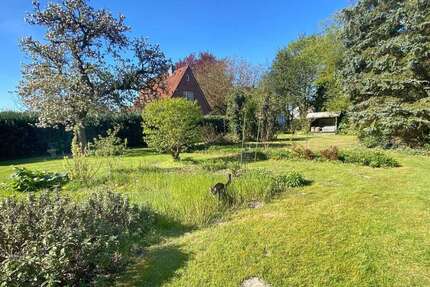 Haus zum Kaufen in Toppenstedt 369.000,00 € 152 m²