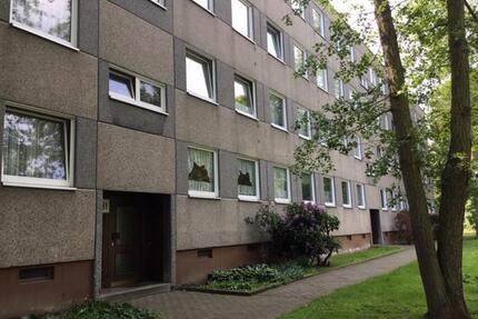 Das Glück hat ein Zuhause: individuelle 3-Zimmer-Wohnung - Kassel Nordshausen