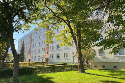 Wohnung zum Mieten in Wernigerode 185,01 € 25.66 m²