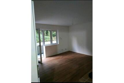 Kernsanierte 2-Zimmer Wohnung, Balkon u. schönem Blick ins Grüne - Neckarzimmern