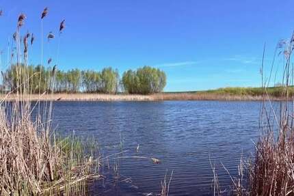 Grundstück in Angermünde 176.000,00 € 107867 m²