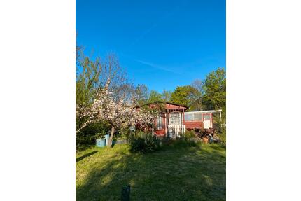 Toller Kleingarten abzugeben - 2.100,00&nbsp;EUR Kaltmiete, ca.&nbsp; 0,00&nbsp;m&sup2; in Greifswald (PLZ: 17489)