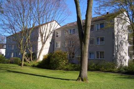 Wohnung zum Mieten in Bonn 726,60 € 70 m²