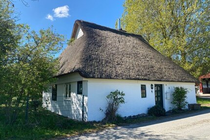 Charmante Reetkate in Nordseenähe - in fast Alleinlage! - Nordermeldorf