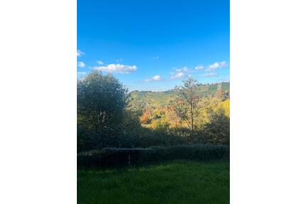 Gartengrundstück Stgt-Uhlbach - 100,00&nbsp;EUR Kaltmiete, ca.&nbsp; 0,00&nbsp;m&sup2; in Lorch (PLZ: 73547)