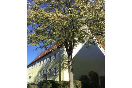 Wohnung zum Mieten in Bönen 329,00 € 40.93 m²