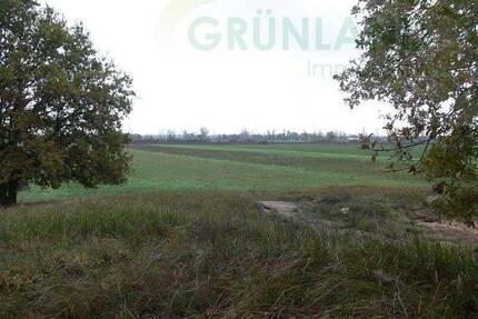 *Landwirtschaftliche Flächen Wald, Acker & Grünland zu verkaufen!* - Eisenhüttenstadt