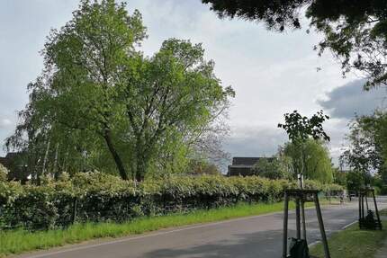 Doppelhauspartner gesucht! + Noch 1 Erbbaurecht + Grüne Lage am Stadtrand - Ahrensfelde Lindenberg