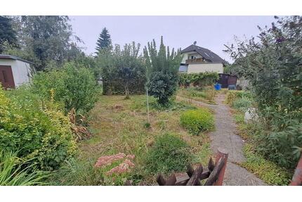 Kleingarten in Schkeuditz - 100,00&nbsp;EUR Kaltmiete, ca.&nbsp; 0,00&nbsp;m&sup2; in Schkeuditz (PLZ: 04435)