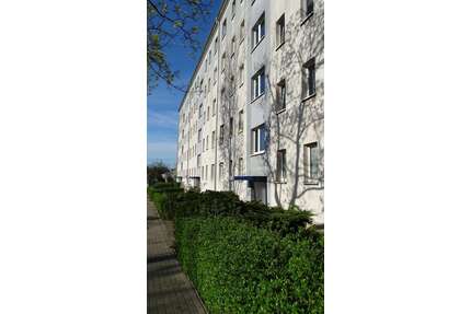 Wohnung zum Mieten in Nordhausen 350,00 € 58.86 m²